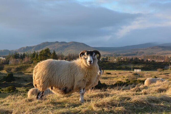 Glasgow: Loch Ness, Inverness & The Highlands - 2 Day Tour - Key things that make this tour work